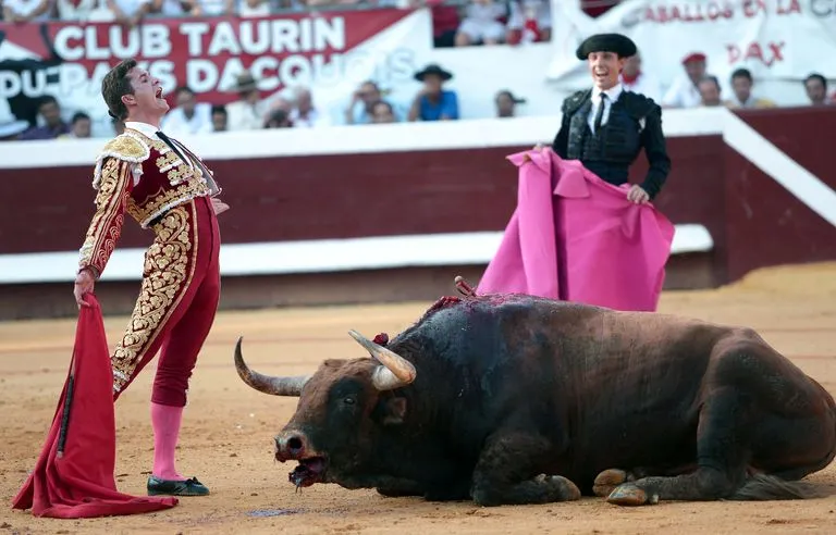 Corrida à Mimizan : la honte encore et toujours !