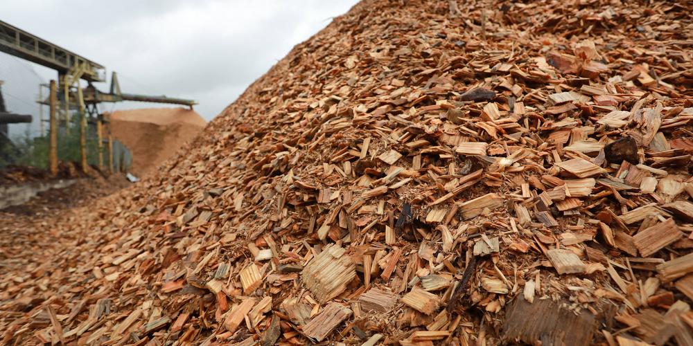 Mimizan : un départ de feu spontané sous un tas de plaquettes de bois à l’usine Gascogne papier